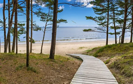 Half-Day Private Trip to Jurmala town and seaside from Riga