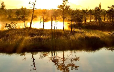 Sunrise at Kemeri National Park - Small Group