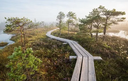Kemeri and Kuldiga Van Tour with Nature Walks