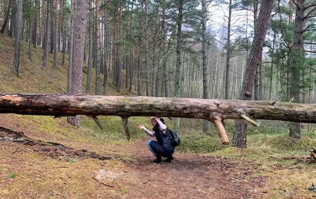 Bushwalking/Hiking adventure from Riga