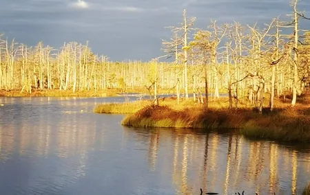 Cenu Bog Walking Trail near Riga Away From Crowded Trails