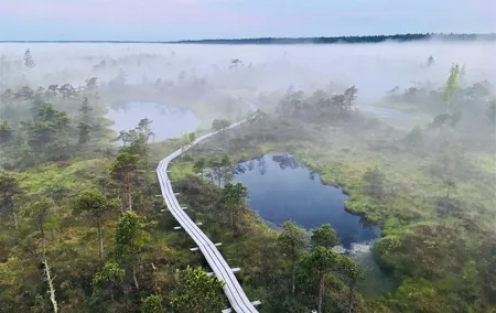 Tour To Ķemeri National Park And Smoked Fish Tasting