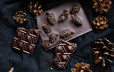 Pine Cone Product Tasting and Jam Class in Jelgava