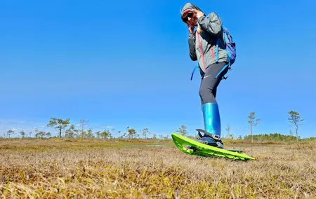 Ķemeri Bogs Adventure: Explore Wetlands In Bog Shoes