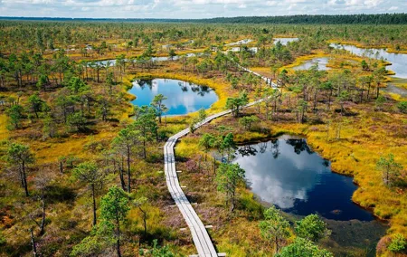 Private Tour to Kemeri National Park and Jurmala from Riga