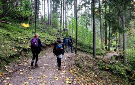 Hiking Adventure in Gauja National Park - 7 Days