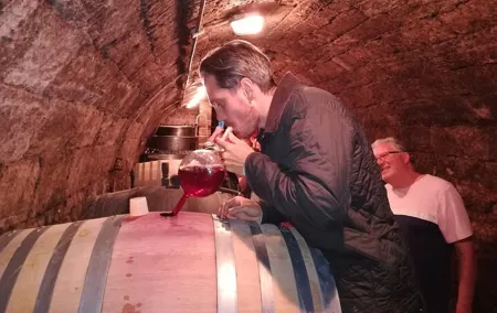 Countryside Half-day Gastro & Wine Tours near Budapest with Meal