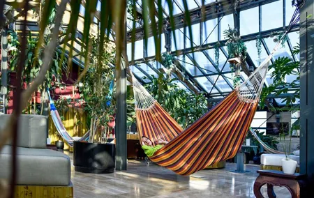 Széchenyi Thermal Spa Palm House Pass - Exclusive Area