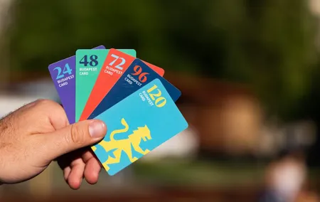 Budapest Card: Free Public Transport, Spa & Museums with Delivery