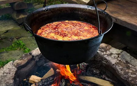 4-Hour Open Air Gulash Cooking with nature in Hungary