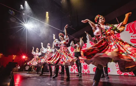 Budapest: Folklore Revue Dinner Show with Unlimited Drinks