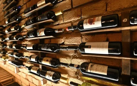 Exclusive Hungarian Wine and Gastronomy Experience Luxury Package