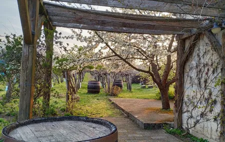 ETYEK wine trip - Just a stone’s throw away from Budapest