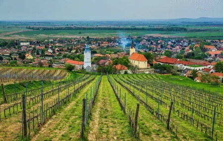 Tokaj Full Day Private Wine Tour from Budapest