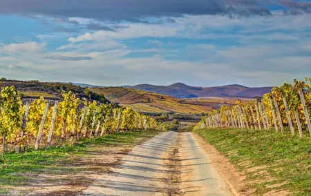Full-Day Tokaj UNESCO World Heritage Site Private Wine Tour