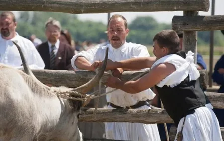 The puszta of Hungary, visit Hortobagy and Debrecen, private tour