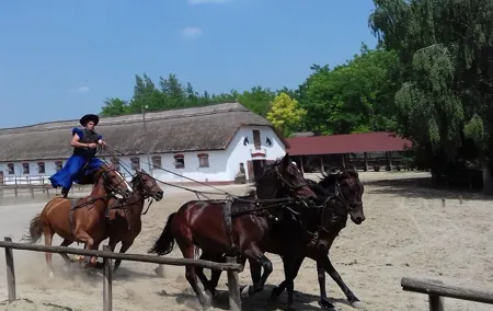 The "Puszta" Horse Show