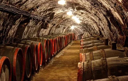 Tokaj Private Day Trip from Budapest