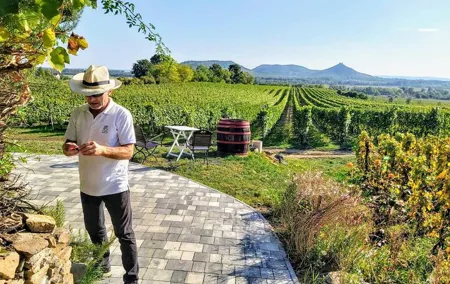 Lake Balaton private wine tasting and sightseeing from Budapest