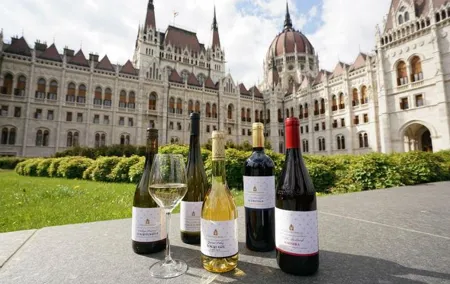 Private Budapest sightseeing tour including Etyek Wine tour with lunch