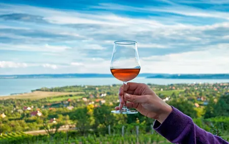Lake Balaton Full Day Private Wine Tour