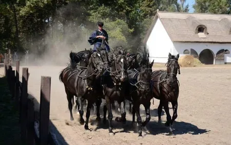 Horseshow on the Hungarian Puszta, private tour from Budapest with entry!
