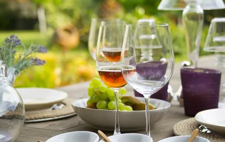 Private Tour to The Vineyards of Etyek