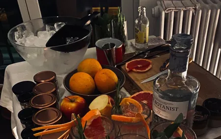 Hungarian Gin and Tonic Tasting and Workshop