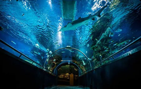 Budapest Tropicarium