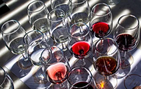 Private Etyek Wine Tour & Danube Evening Cruise from Budapest
