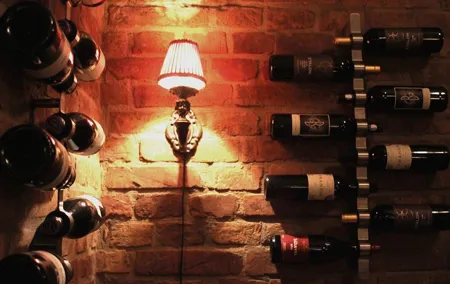 Budapest Wine Crawl - Budapest's Best Wine Bars - Private Tour