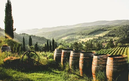 NEW! Private Cultural and Wine Tasting Tour in Eger