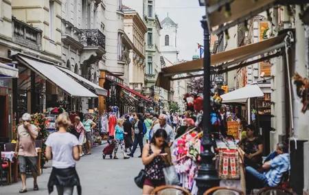 Full-Day Trip from Budapest to Vienna with Private Expert Guide - Includes Lunch