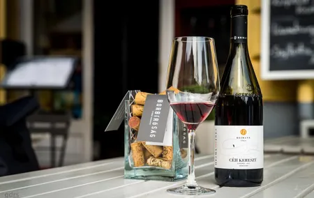 Private Wine Tour through the heart of Budapest