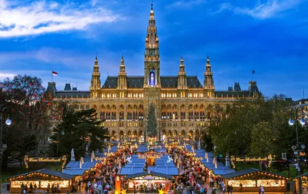 Full Day Private Tour in Vienna Christmas Market from Budapest