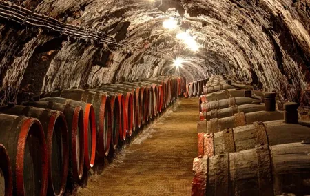 Tokaj Private Day Trip with Lunch and Wine Tasting