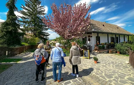 Danube Bend tour by Minivan with Hotel Pickup: 3 Cities and Cake