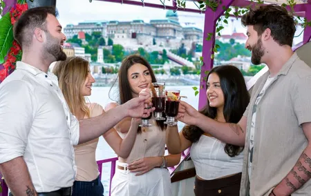 Unlimited Mulled Wine Cruise on the Danube