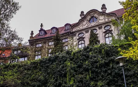 Budapest's Castle Hill city game: history & mystery revealed