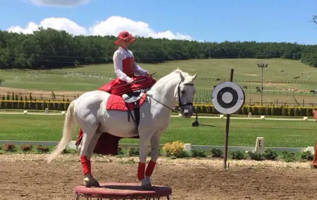 Horse show, lunch, carriage ride, Palace visit private near Bp