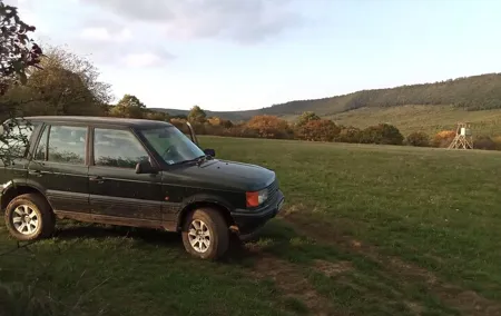 Private 2-Day Wildlife Watch Excursion with 4x4 Vehicle in Kosd