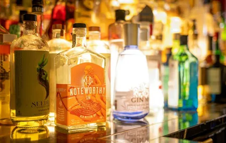 Polish Gin Tasting Tour