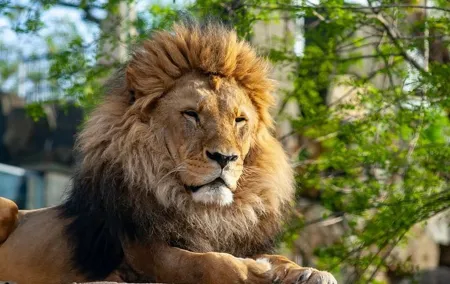 Gdansk: Oliwa Zoo with Private Transport and Tickets