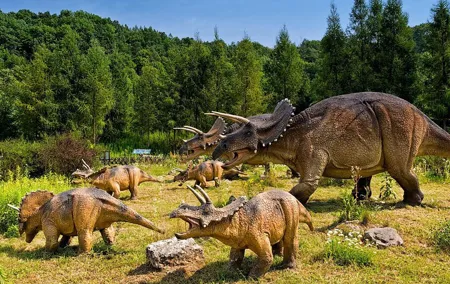 Leba Dinosaur Park - 10h private trip