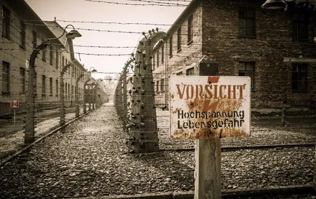 Krakow and Auschwitz Small Group Tour from Lodz with Lunch