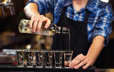 Lodz Private Vodka Tasting Tour