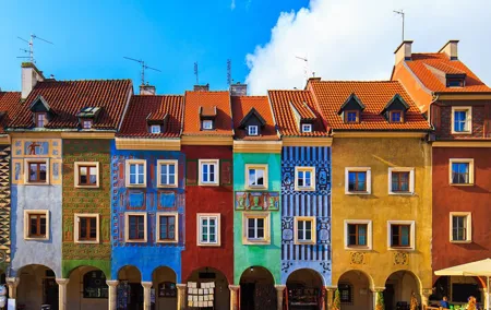 Old Town Poznan Walking Tour