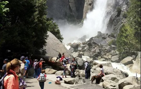 Small Group Yosemite and Giant Sequoias Day Trip from San Francisco