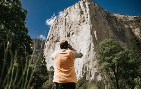 Yosemite Highlights & Giant Sequoias Day Tour from San Francisco