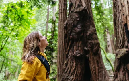 Muir Woods and Sausalito (Return by Bus or Ferry)